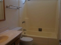 DSC02442smaller.jpg